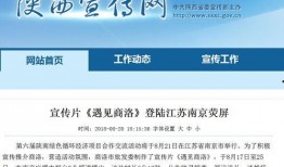 南京导游爆料新闻报道最新,揭秘古都背后的历史故事与神秘传说